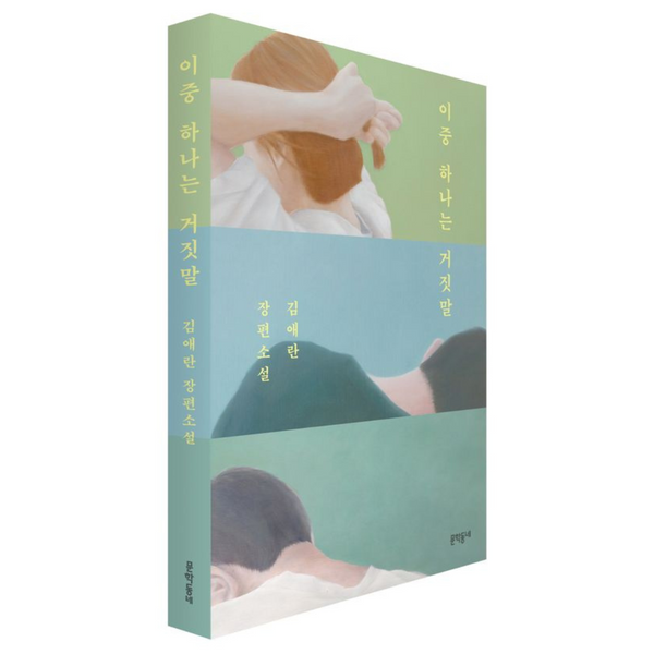其中一个说谎了。