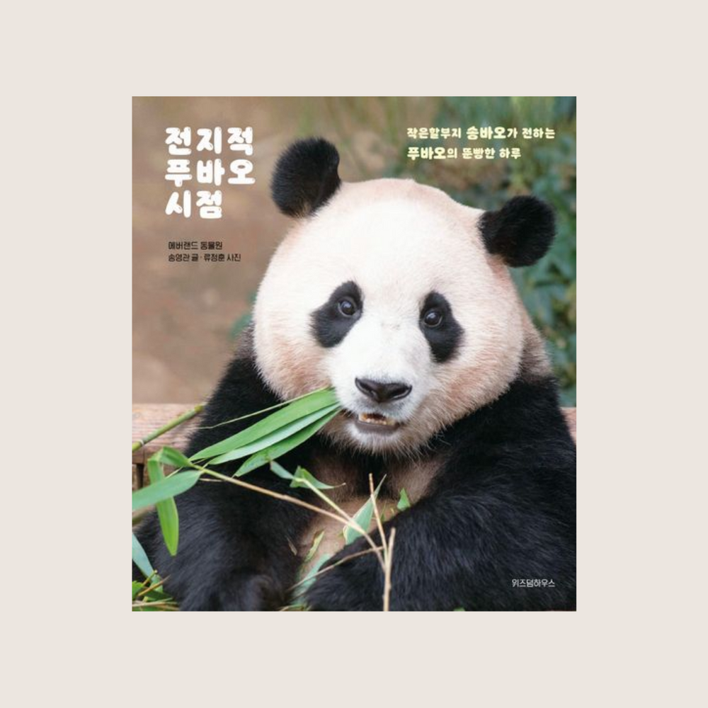 전지적푸바오시점 | 전지적푸바오시점