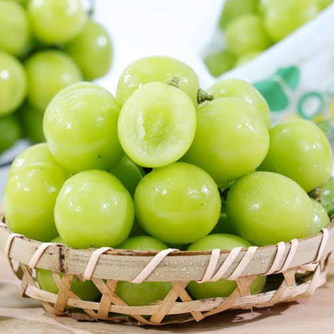 탑프룻 젤리 TOP FRUIT Mango/Kiwi/Peach/Green Grape/Apple Mango Pure Juice Candy 320g
