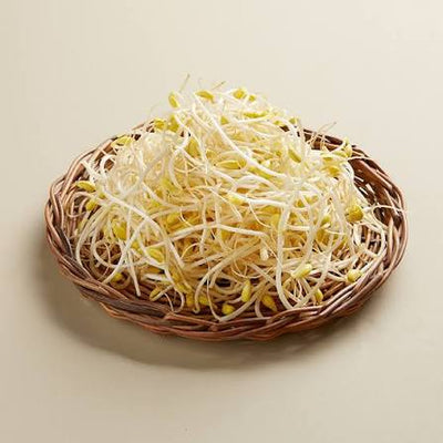 콩나물 400g