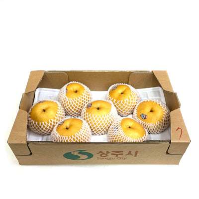 Shingo Pear 신고배 1Box