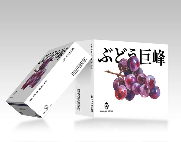 9358686099834 대표이미지