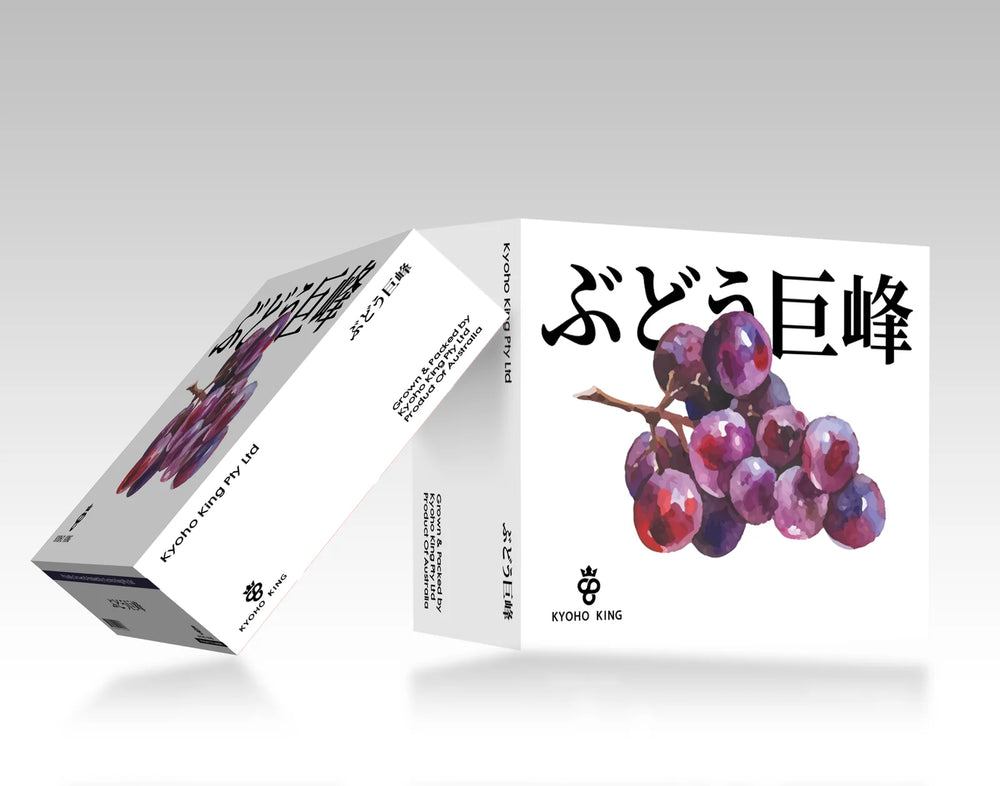 9358686099834 대표이미지