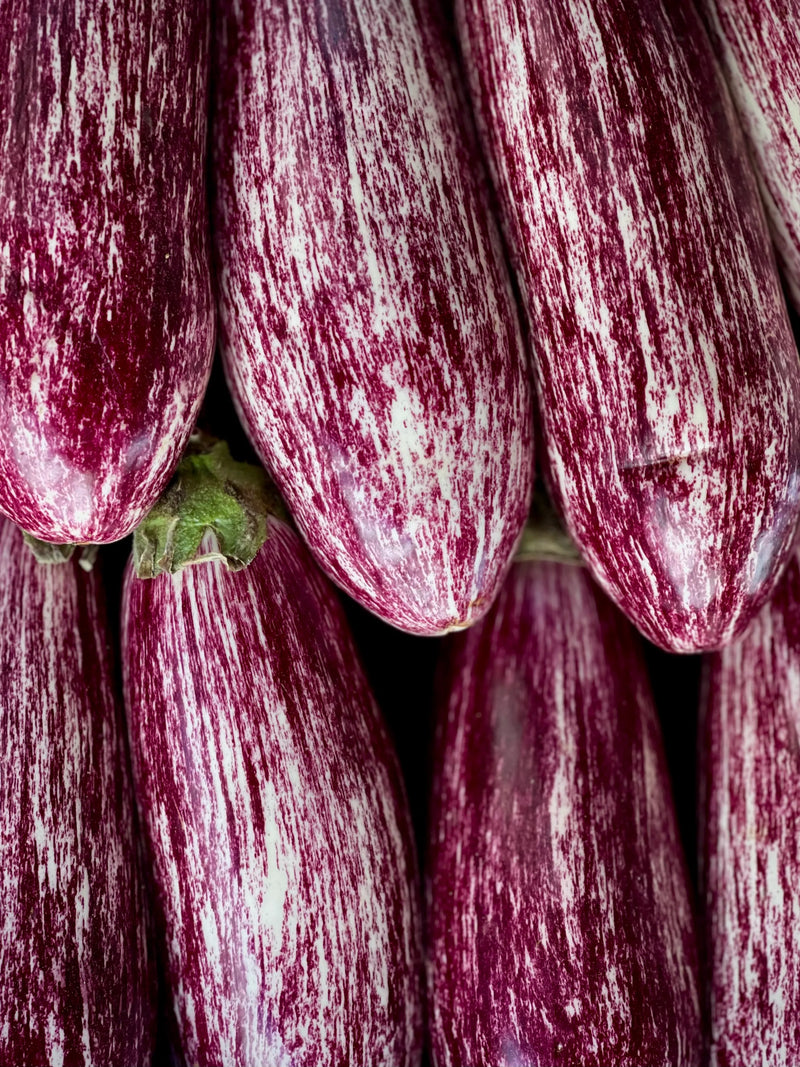 Eggplant