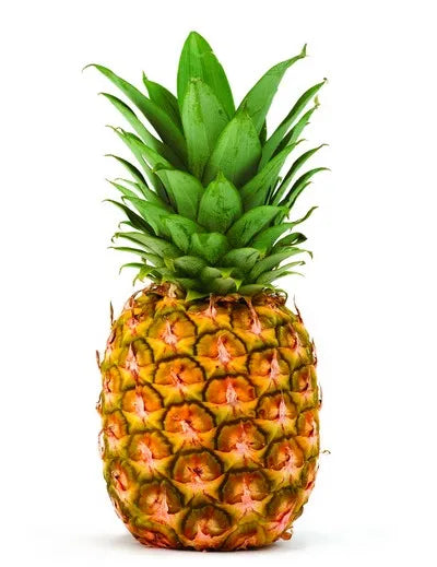 Pineapple 파인애플