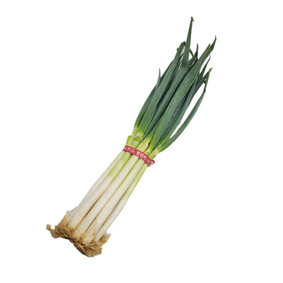 Spring Onion 파