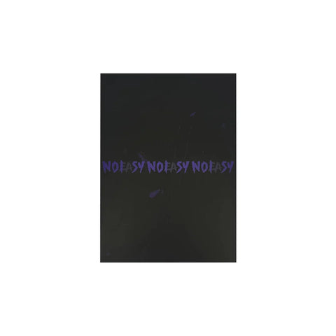 Special Price💿 스트레이 키즈 Stray Kids - The 2nd Album 'NoEasy' (Standard Ver.)