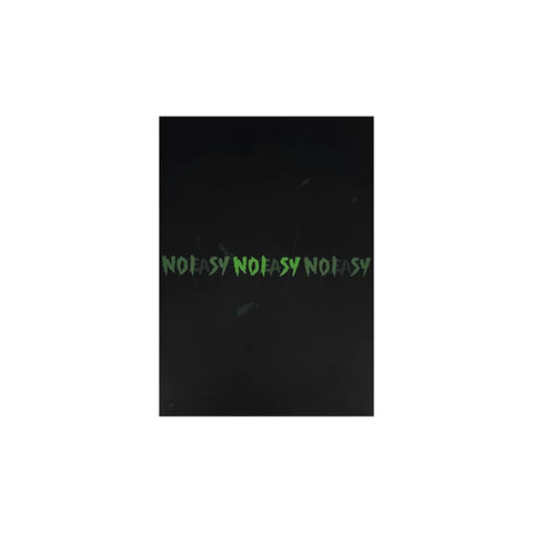 Special Price💿 스트레이 키즈 Stray Kids - The 2nd Album 'NoEasy' (Standard Ver.)