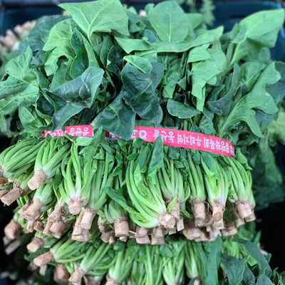 Spinach 시금치