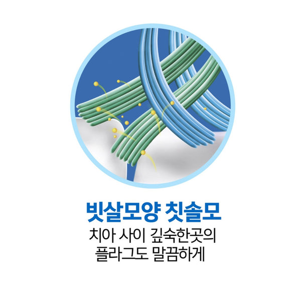오랄비 플라그가드 칫솔