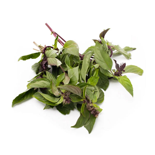 3025041902752 대표이미지