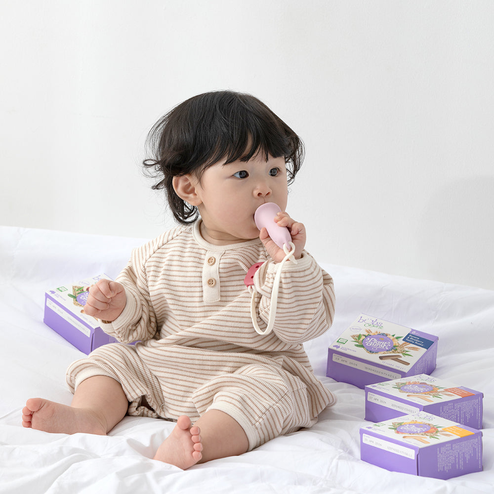 앙파파 티딩 러스크 투씨 러스크 홀더 Angpapa Teething Toothy Rusks Holder 4colours