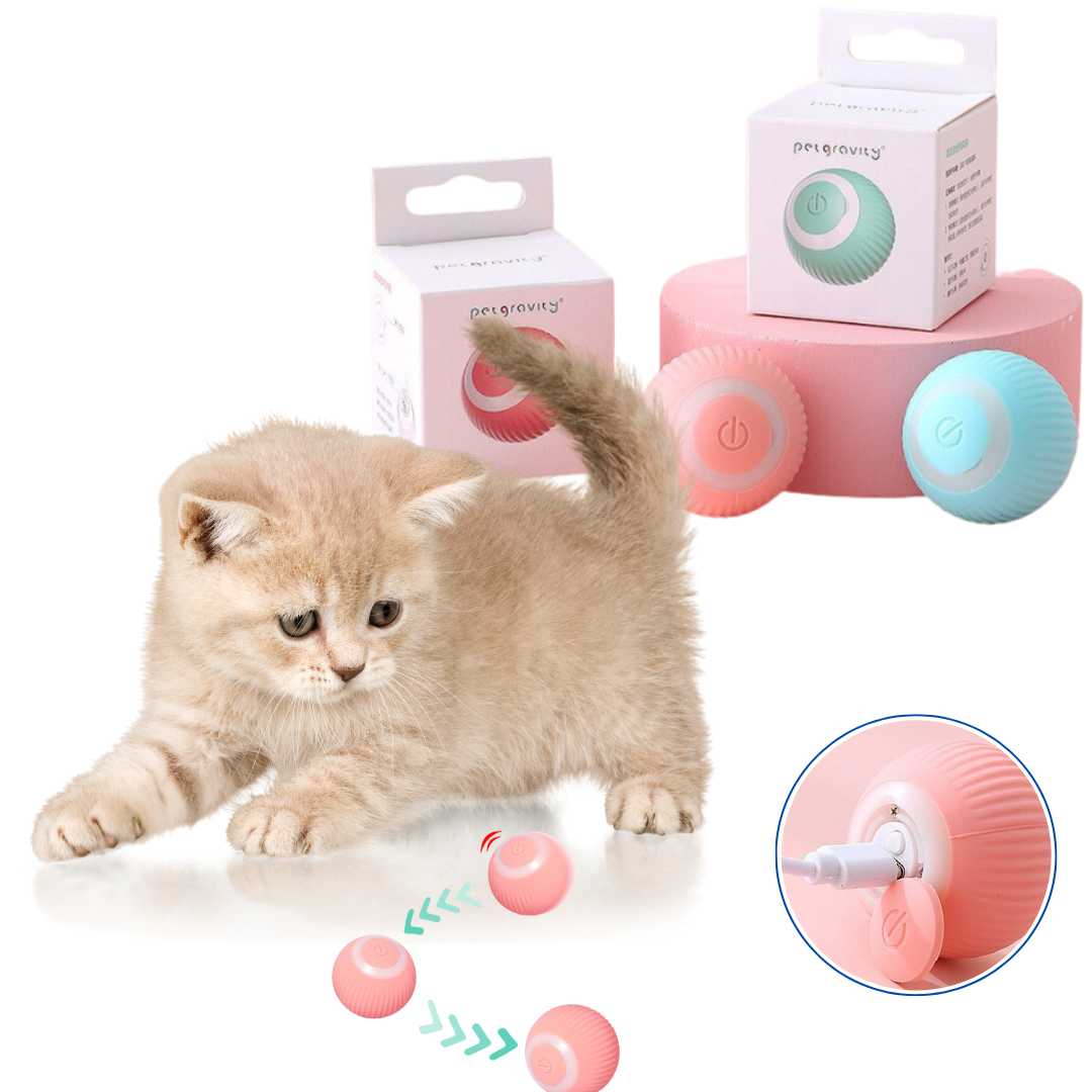 고양이 장난감🐾 Interactive Cat Toy