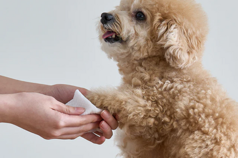 Pet care