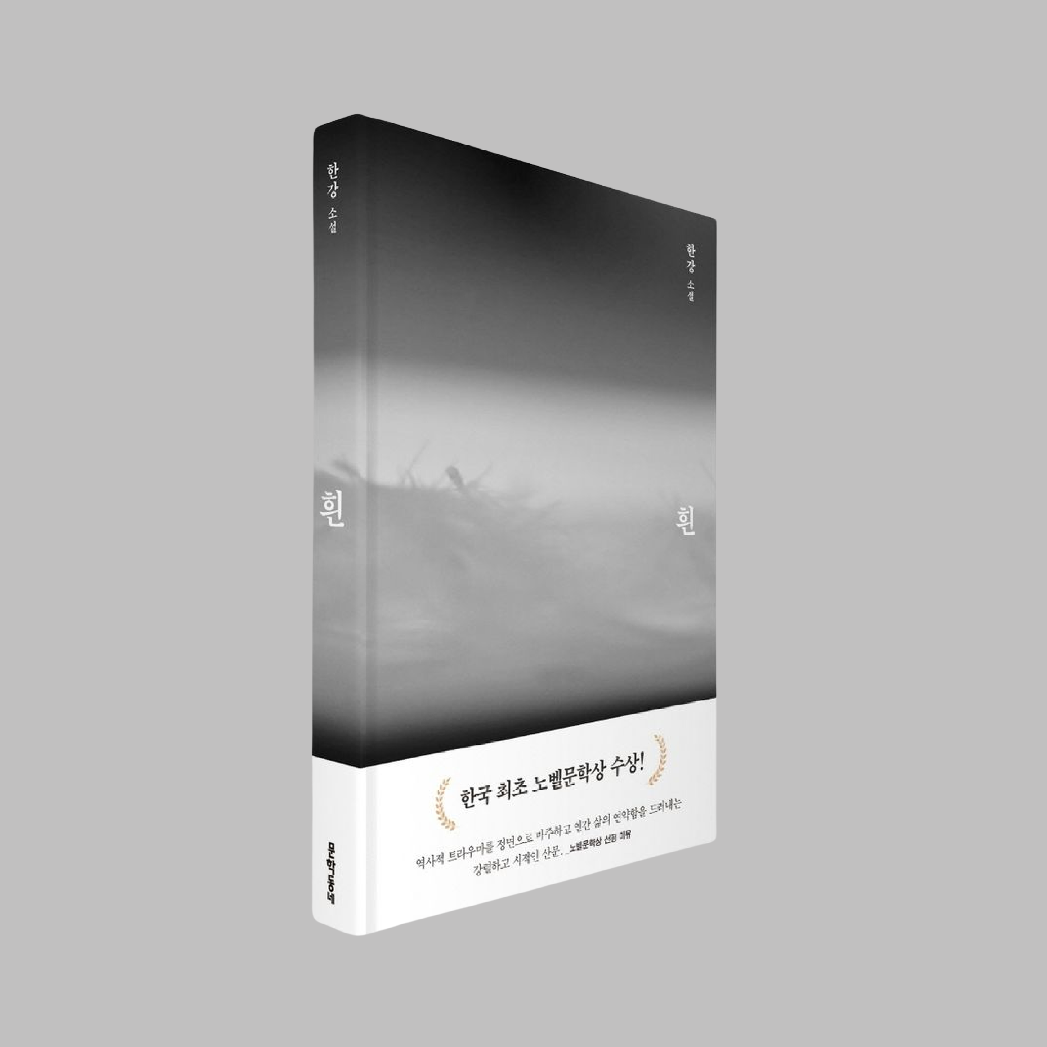 흰 - 한강 작가 | 흰 - 한강 작가