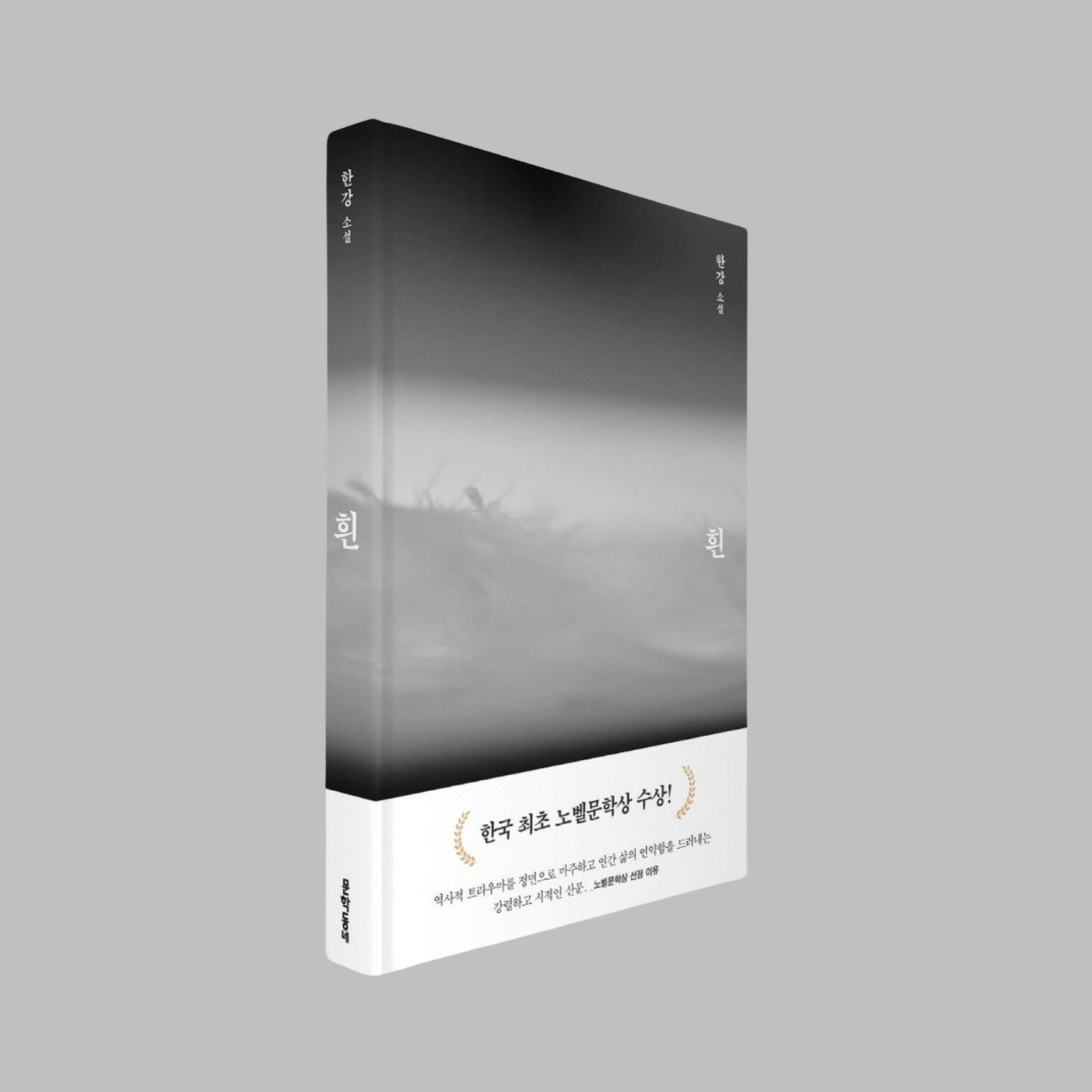 흰 - 한강 작가 | 흰 - 한강 작가
