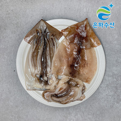 은하수산 원양산 손질오징어 600g