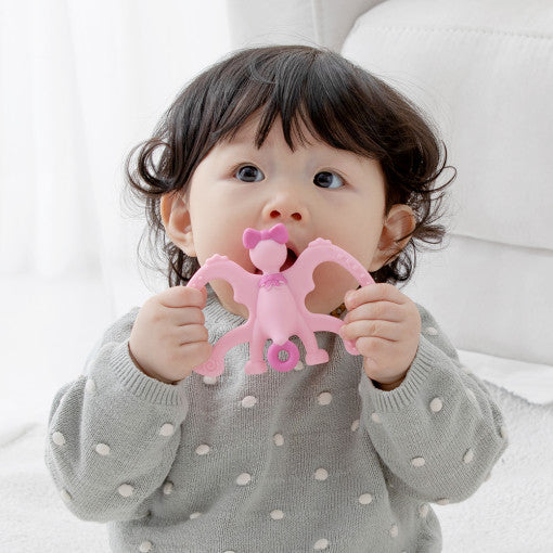 앙파파 공룡 치발기 Angpapa Dinosaur Teether 3 Type