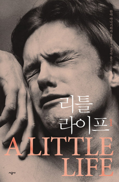 리틀 라이프 1 : 한야 야나기하라 장편소설