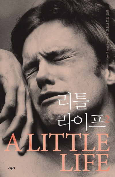 리틀 라이프 2 : 한야 야나기하라 장편소설