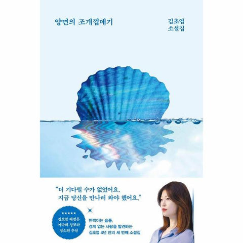 양면의 조개껍데기