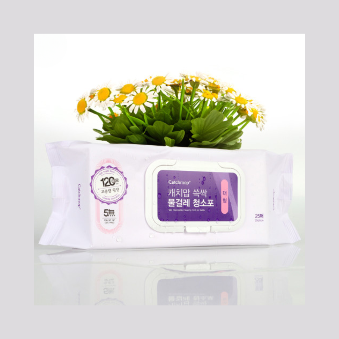 캐치맙 밀대 / 청소포 Catchmop Cleaning Set Mop / Cleaning Cloth