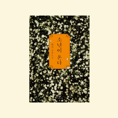 ✨2024 노벨문학상 한국 작가 최초 수상! 한강 소년이 온다