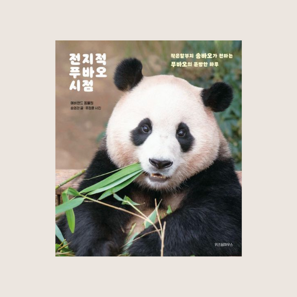 전지적푸바오시점 | 전지적푸바오시점