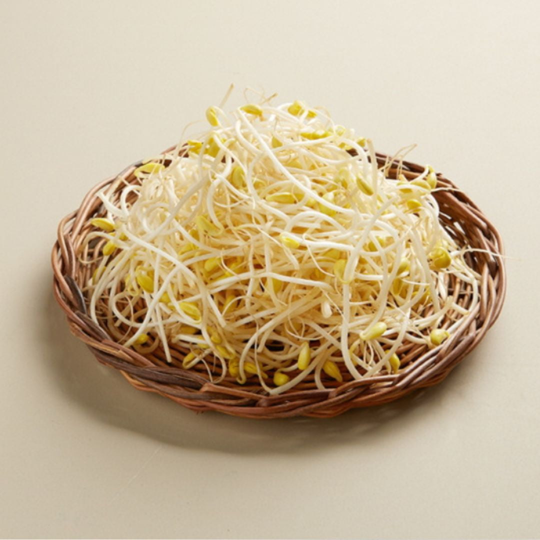 SYDNEY ONLY🚚 New Beans Fresh Soybean Sprouts 450g