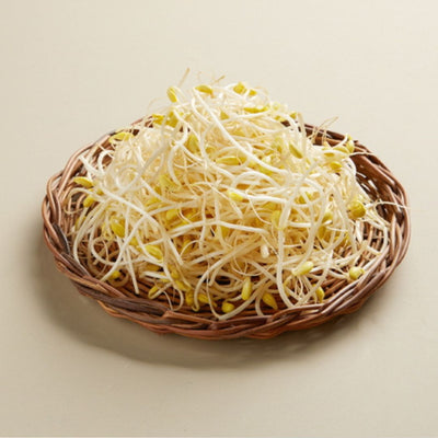 New Beans Fresh Soybean Sprouts 450g