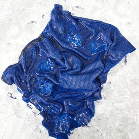 CLEARANCE🌻Instant Ice Cool Cooling Towel