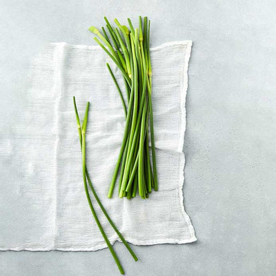 Garlic scapes