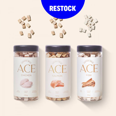 Restocked💙강아지&고양이 겸용 고급간식 Freeze-Dried Treats for pet 100g