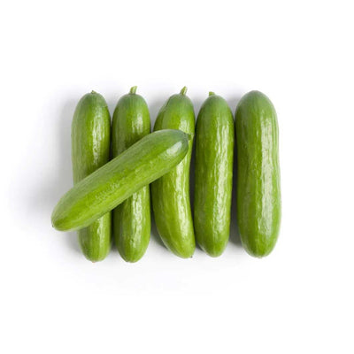 Lebanese Cucumber