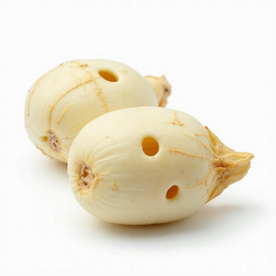 Lotus Root