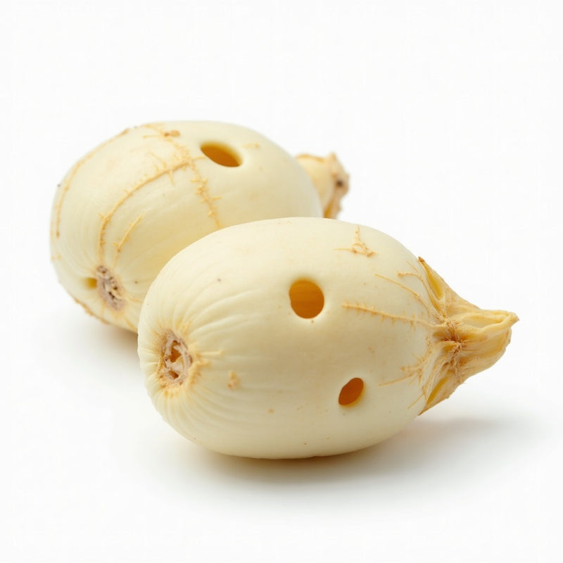 Lotus Root