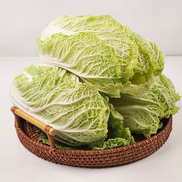 3024041900673 대표이미지