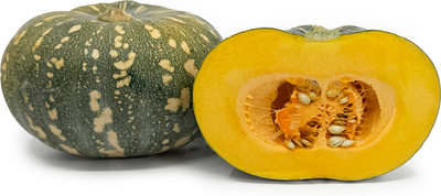 Kent Pumpkin