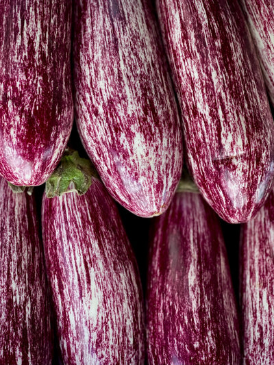 Eggplant