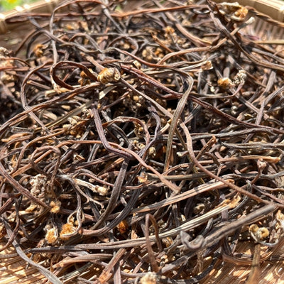 Dried Bracken