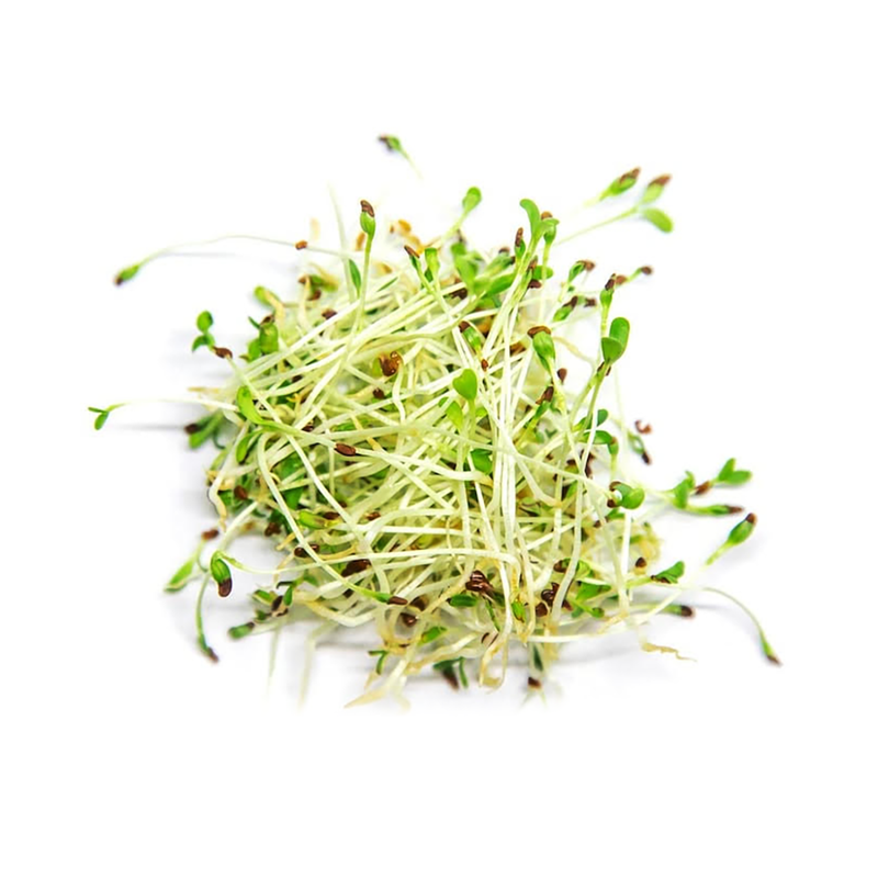 알파파 125g