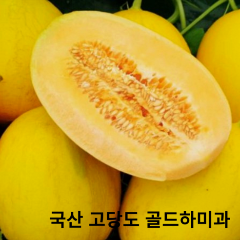 Yellow Melon 노랑멜론
