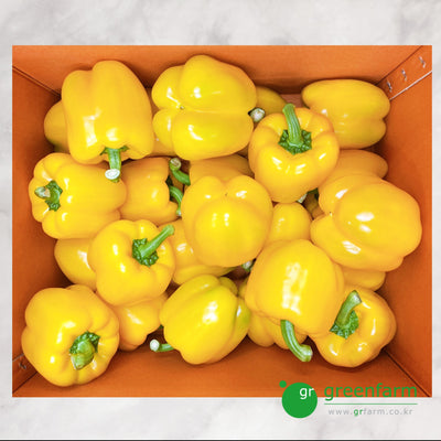Yellow Capsicum