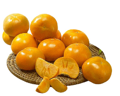3025040801445 대표이미지