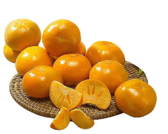 3025040801445 대표이미지