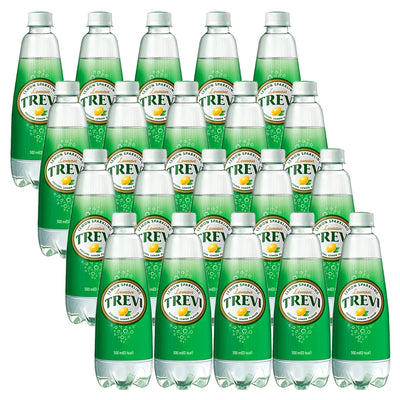 [롯데] 트레비 레몬 500ml