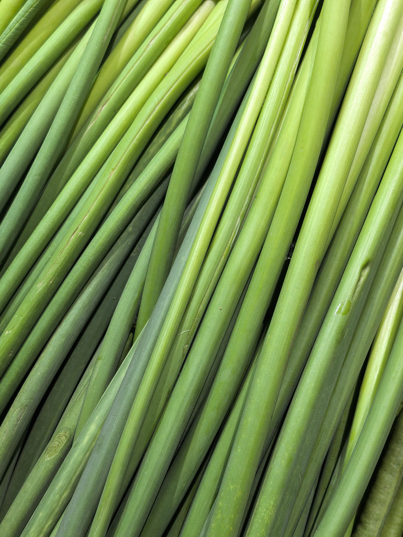 Lemon Grass