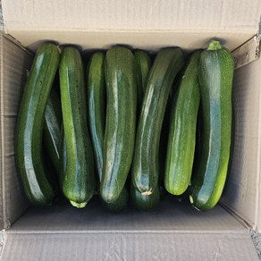 Zucchini