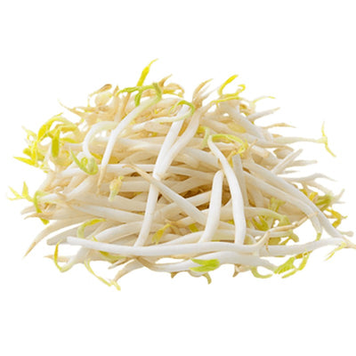 만나 숙주 450g