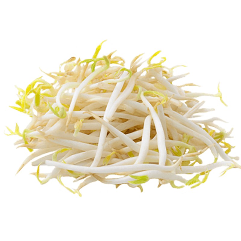 만나 숙주 450g